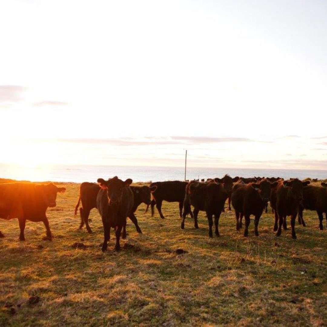 Take Your Vitamins with Grass Fed Beef