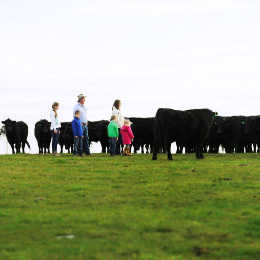 Decoding the 'Natural' Label in Beef