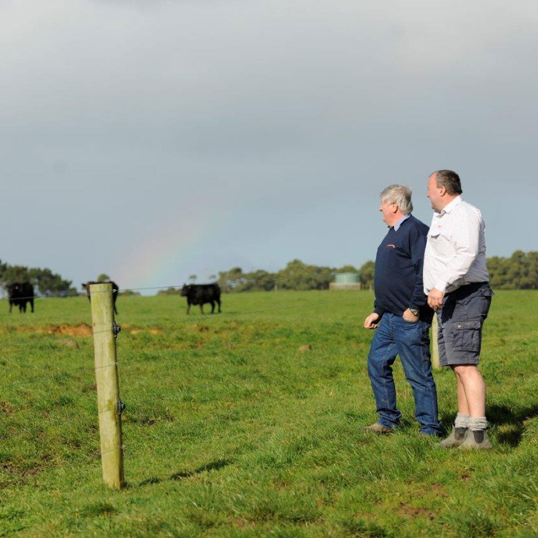 Two farmers looking off into the distance at cattle