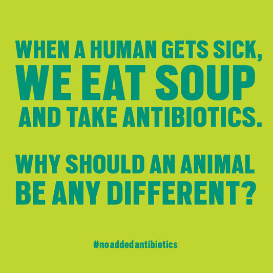 No Added Antibiotics Explained