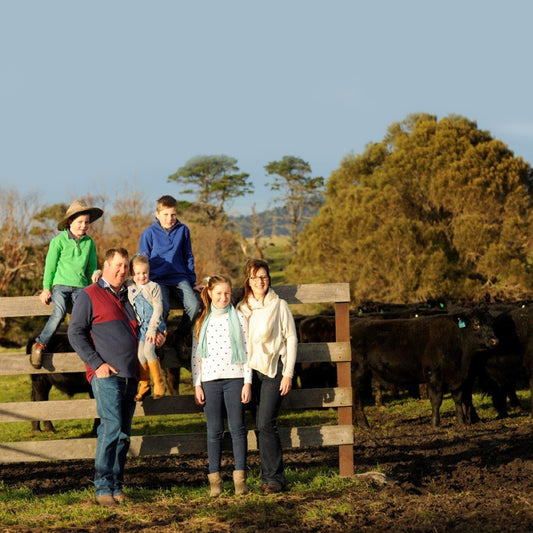A family sitting on a fence with cattle